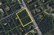 21787399