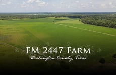 21788767