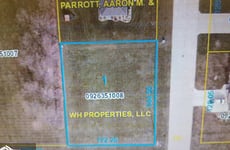 21891628