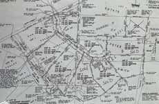 21919208