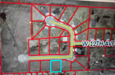 21956910