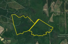 22453946