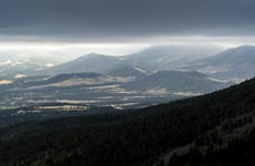 22469542