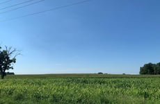 22649651