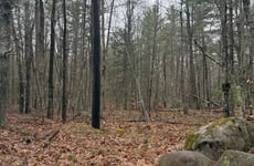 22776228