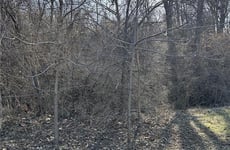 22785389