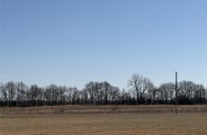 22846687