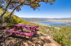 22893352