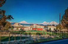 28020519
