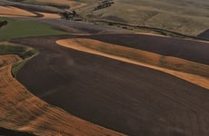 23260859