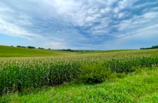23410169