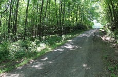 23684390