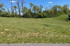23685516