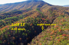 23689501