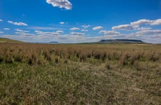 23724158