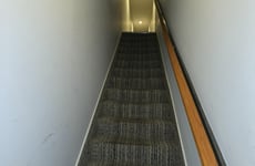 23857569
