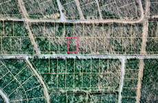 24144395
