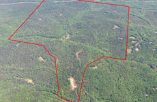 24164906