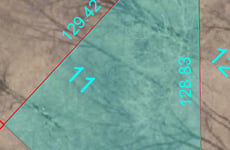 24256519