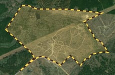 24610786