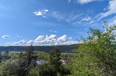 24611736