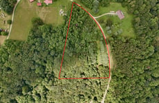 24649106