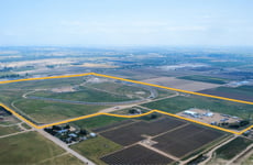 24900734