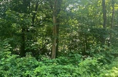 24906394