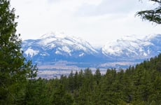 24939848