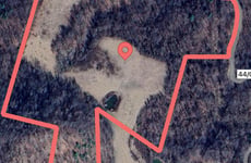 24941619