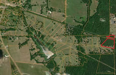 24975339