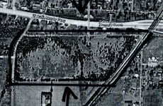 25419612