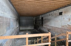 25452315