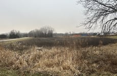 25569161