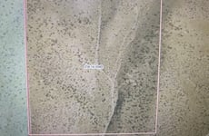 25700878