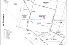29561648