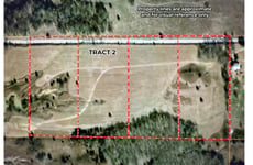 25954484