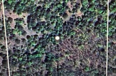 25978657