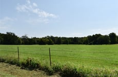 26339928