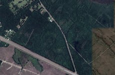 26374067