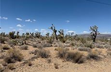 26415041