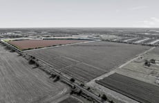 26520978