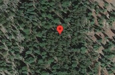 26653047