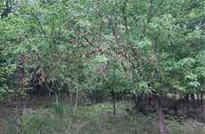26698793