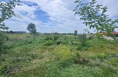 26741624