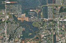 31553697