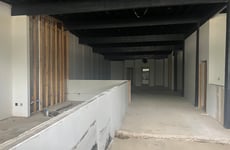 29521036