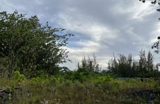 26820578