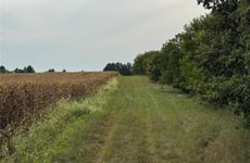 26879059