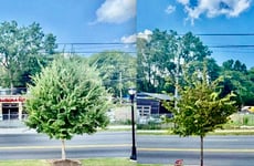 27073488